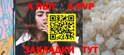 крисы Гатчина