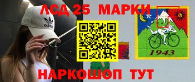 крисы Гатчина