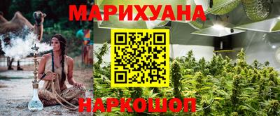 крисы Гатчина