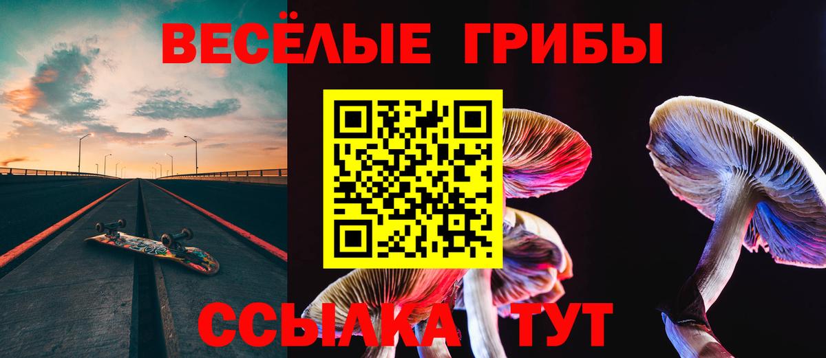 Псилоцибиновые грибы Magic Shrooms  продажа наркотиков  Псилоцибиновые грибы Psilocybine cubensis  Ликино-Дулёво  Вход с VPN 